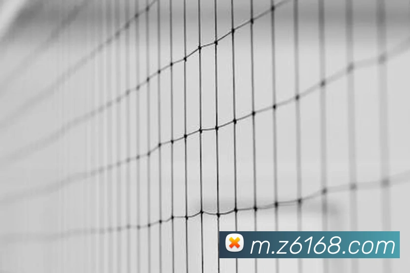 z6尊龙凯时全站App z6尊龙凯时全站App